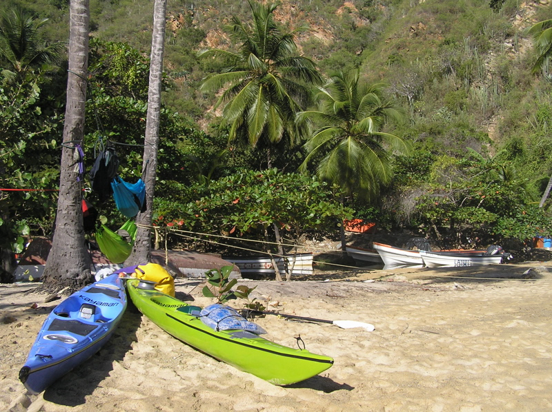 P2050044.jpg