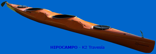 Hipocampo